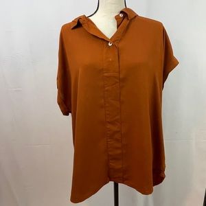 Burnt Orange Blouse with Collar